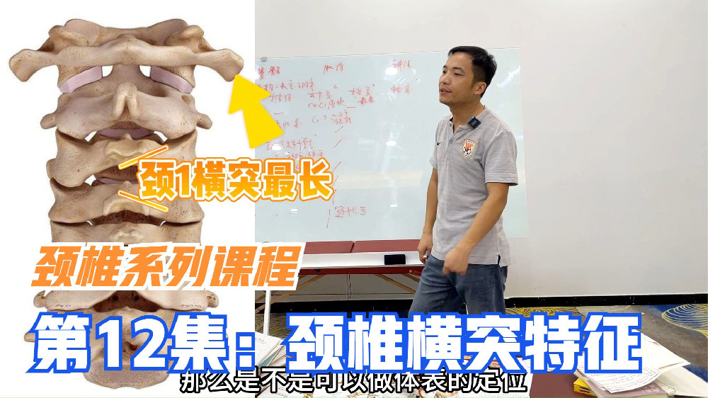 颈椎横突有前结节和后结节，治疗颈椎病想效果好，重点关注后结节