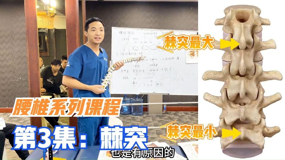 为什么第1腰椎棘突最大，第5最小？李正军老师：脊椎生理曲度决定