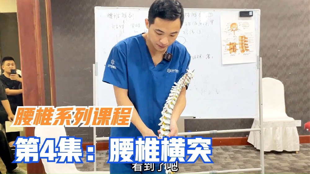 腰椎横突特征：三长四短五肥大，一二短薄，正骨手法基础，很重要