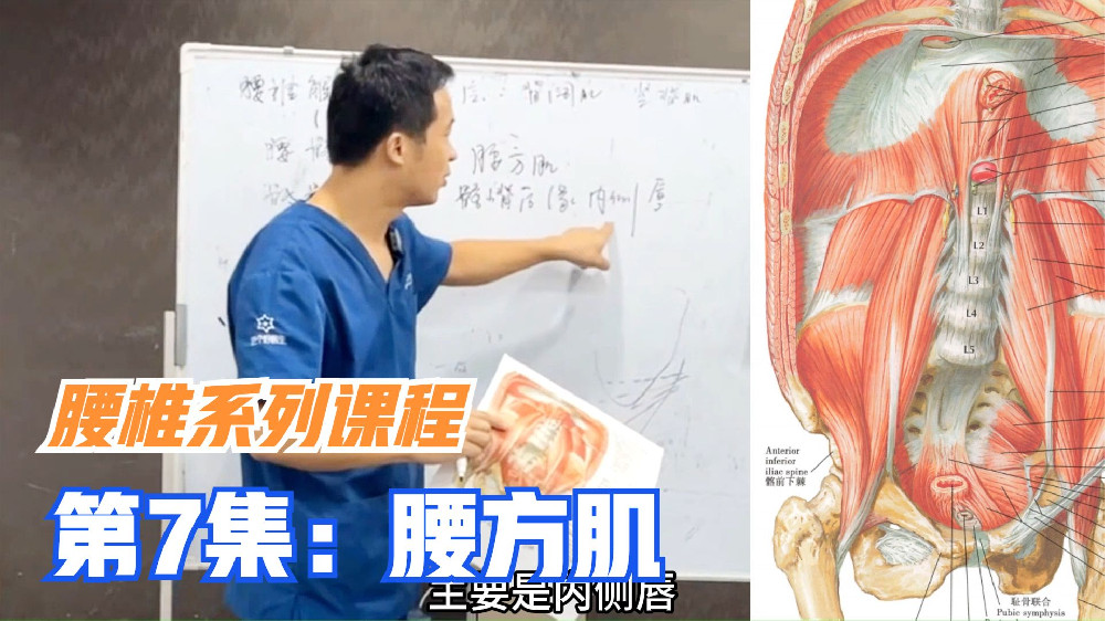 腰方肌，1块脚踏三条船的渣肌，视频最后分享如何治疗，收藏学习